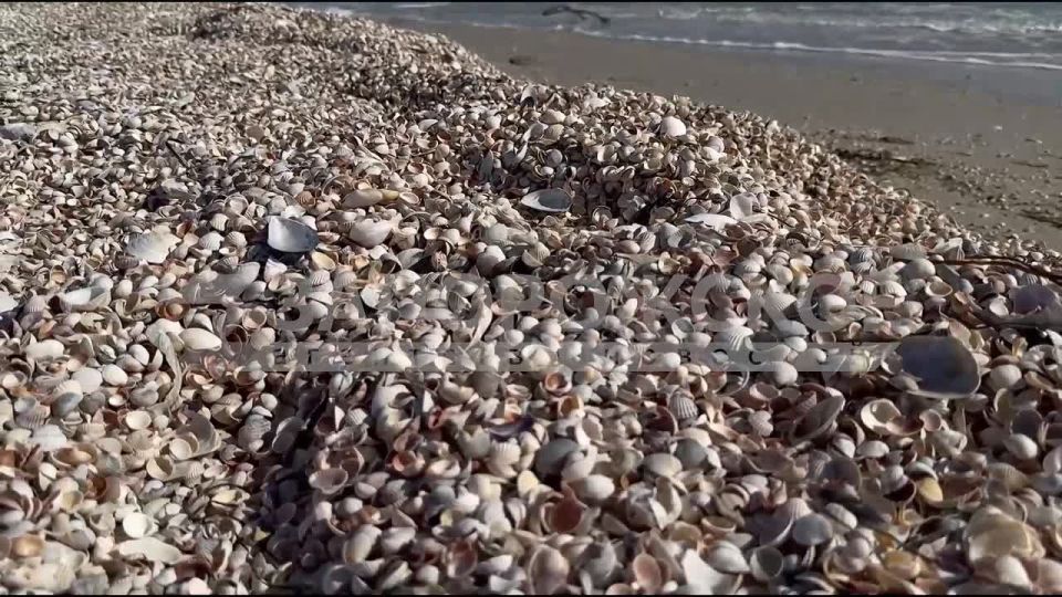 Курортный сезон на Азовском побережье Запорожской области закрыт