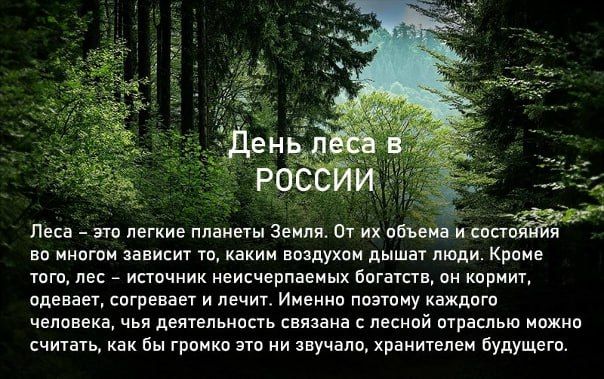 С 15 по 17 сентября - Российские дни леса