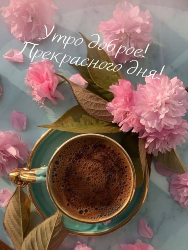 Доброе утро, всем прекрасного дня