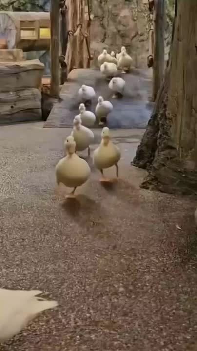 Доброе утро, друзья! Включаем рабочий режим