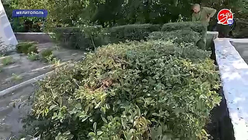 Масштабную уборку старого кладбища на улице Пионерской в Мелитополе провели сотрудники коммунального предприятия