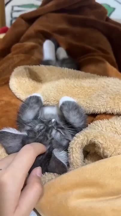 Доброго утра , дорогие Мелитопольцы!