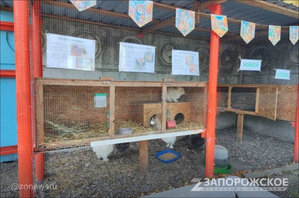 ������ � �������������� ������ ��������������� ���-�����