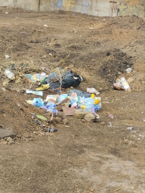 В ПОИСКАХ ПОРЯДОЧНОСТИ. Уважаемые жители