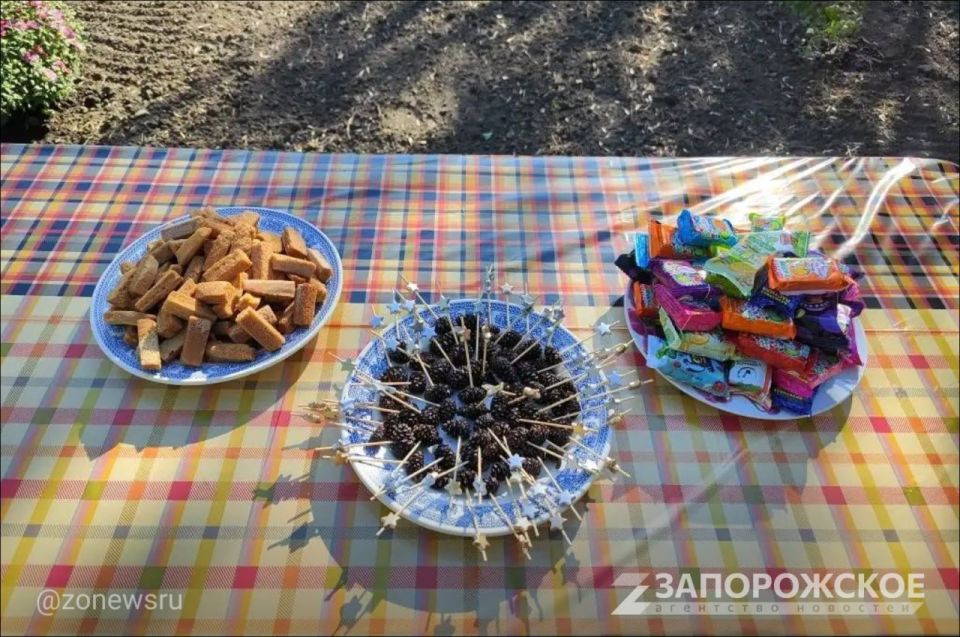 ������ � �������������� ������ ��������������� ���-�����