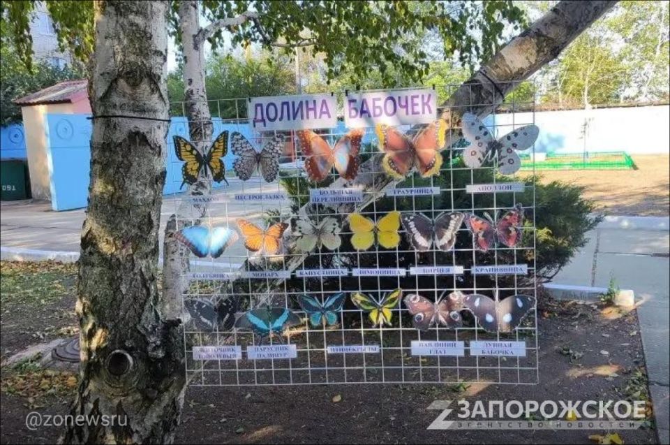 ������ � �������������� ������ ��������������� ���-�����