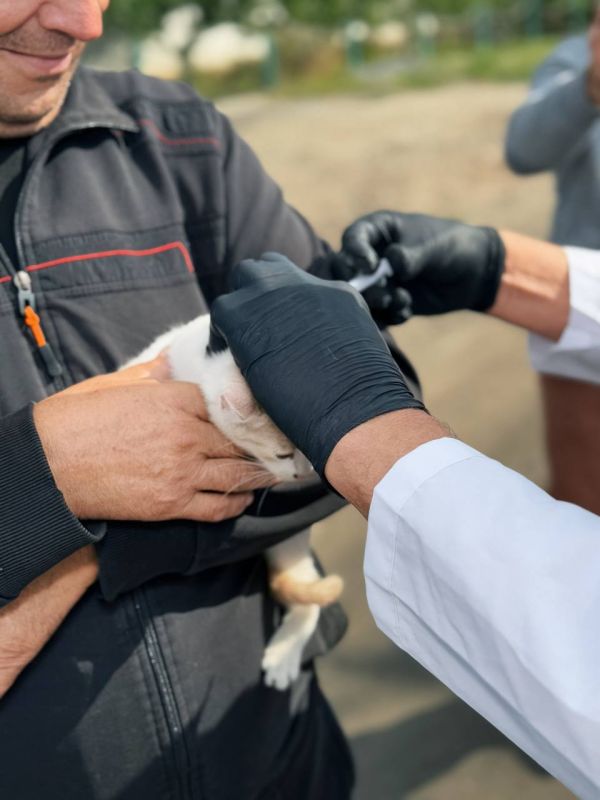 ���������� �������� �������� �� ��������� � ����� �� �������� � ����� ������������