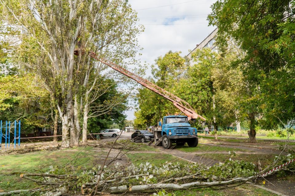 � ���������� ������������ ����� �� ��. �������� �������