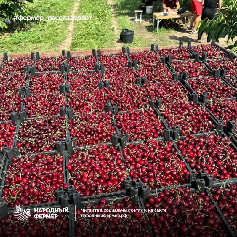 ������ � ����� � ���������� ��� �� ����������