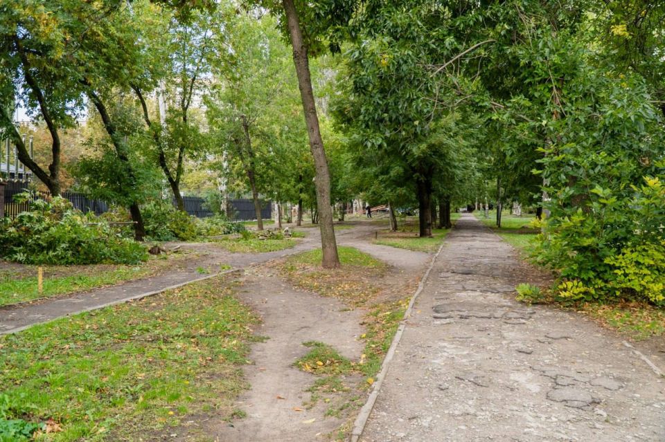 � ���������� ����� ������������ ����� �� ��. �������� �������