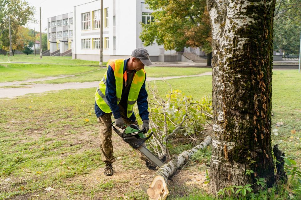 � ���������� ������������ ����� �� ��. �������� �������