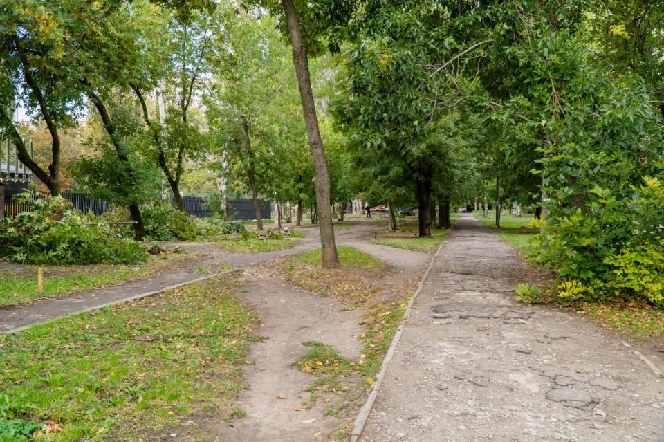 � ���������� ������������ ����� �� �������� �������