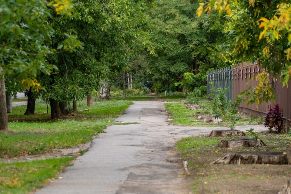 � ���������� ������������ ����� �� ��. �������� �������