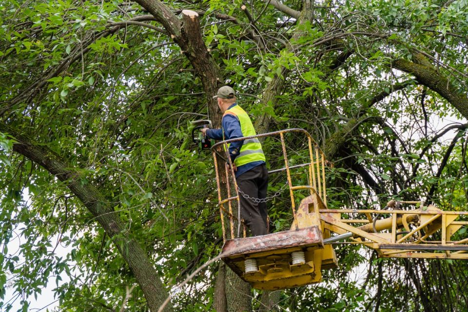 ������ ��������: ������� ����� �� �������� ������� � ���������������