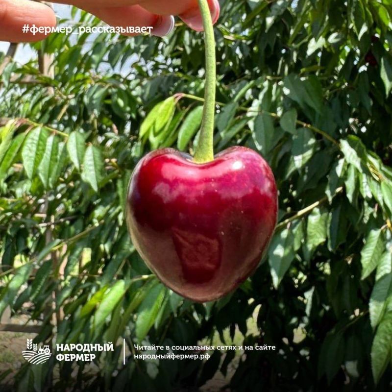 ������ � ����� � ���������� ��� �� ����������