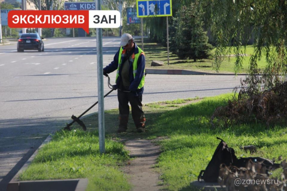 Коммунальщики убрали траву вдоль улицы Воинов-интернационалистов в Мелитополе