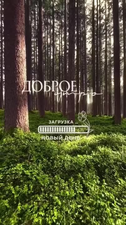 Доброго утра , дорогие Мелитопольцы!