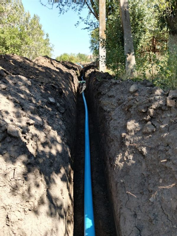 ������ ���� ����������� � ���� ��������������� �������� � ������