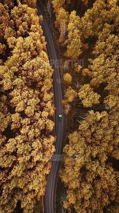 Доброго утра , дорогие Мелитопольцы!