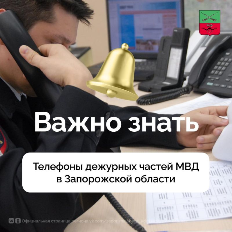 Куда сообщить о ДТП в Запорожской области