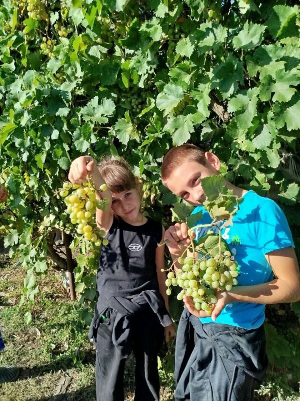 ���� ������ ���. � ����� ������ ���� ��������������� ���������� ����� ����� ������ ���, ������� ��������� �� 1 ������� � ����� ���������� �� ��� �������� ��������