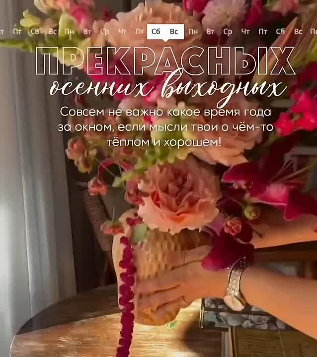 Всем прекрасных выходных