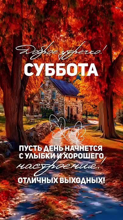Доброе утро! Пусть этот день начнётся с тёплых слов — сказанных и услышанных, которые согревают сердце и дарят улыбку