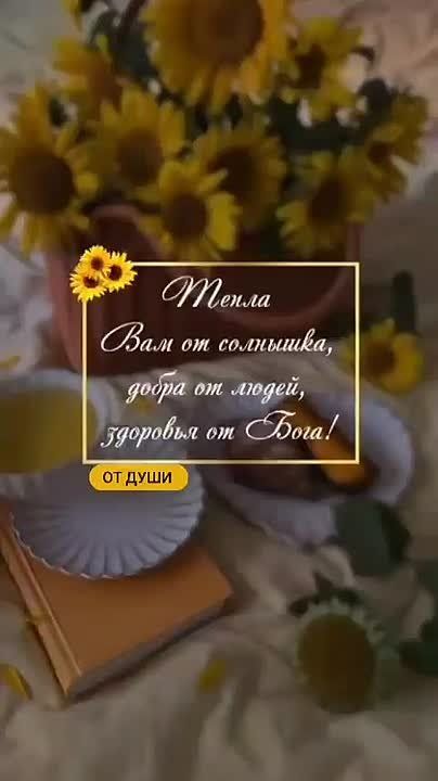 Доброе утро! Насладись медленным ритмом дня, чашкой кофе и любимой книгой