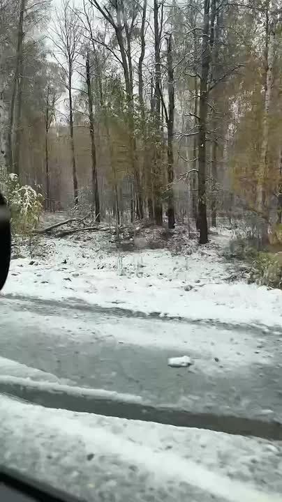 Зима близко: Снег накрыл города в Челябинской и Свердловской областях, а также в Башкортостане