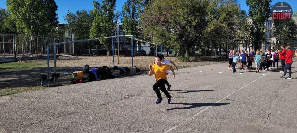 ���������� ������: ���������� �� ������ �������� ������ � ���������� � ���������� ��� �������������