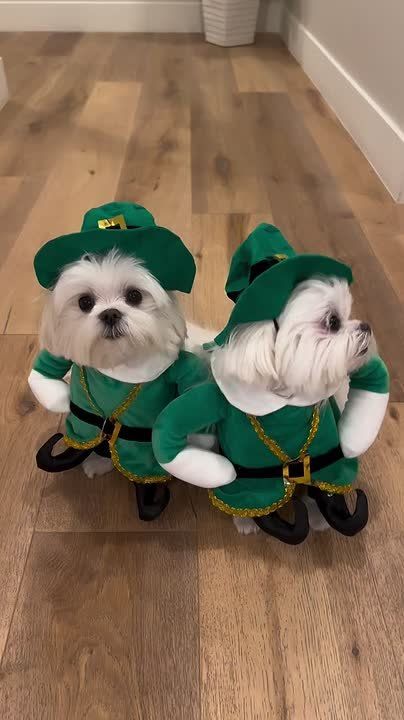 С началом рабочей недели!. Пусть понедельник станет отправной точкой для новых возможностей и свежих идей, а каждый рабочий день наполняется достижениями и удовлетворением от проделанной работы! #запорожскаяобласть...