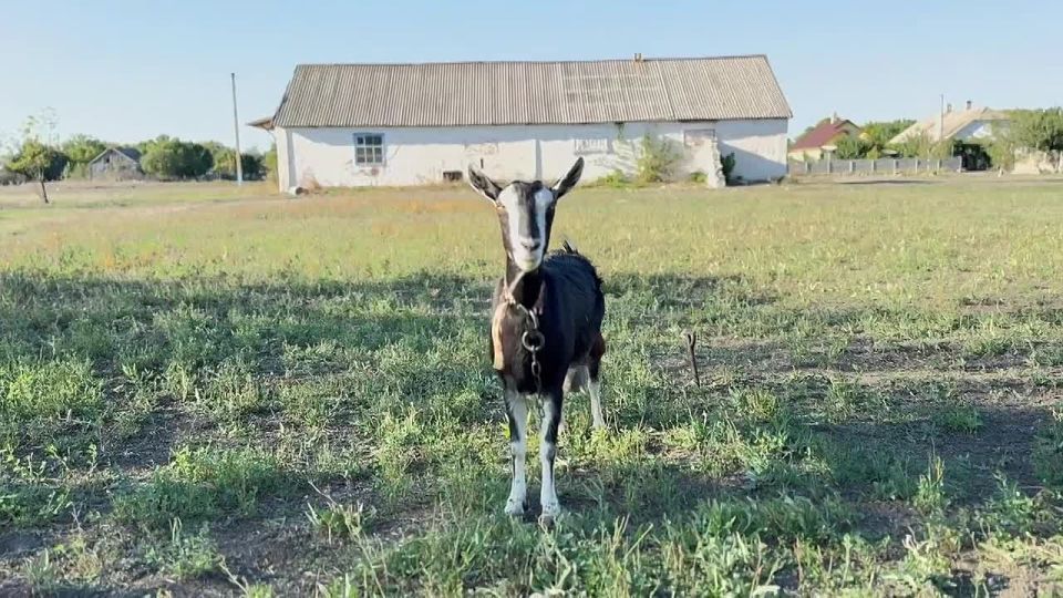 Доброе утро! Отличного продуктивного понедельника и успешной недели