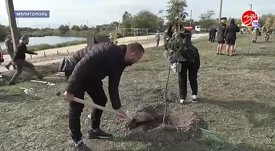 Символичная высадка деревьев состоялась в регионе в преддверии Дня воссоединения с Россией