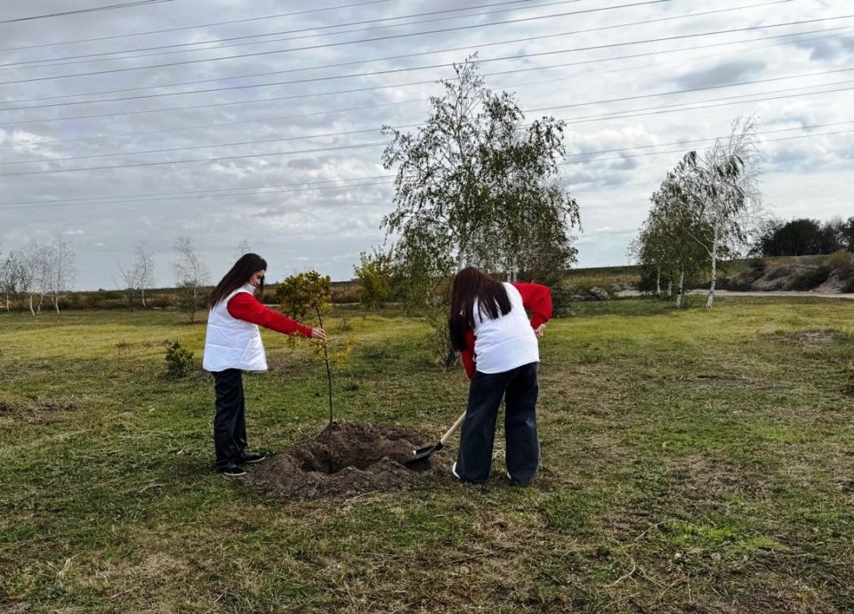 ����� "���� � ��������" ��������� � ����������