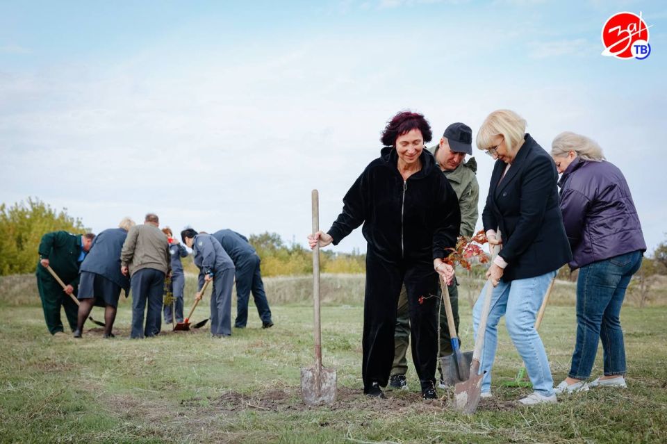 ����������� ������� �������� ���������� � ������� � ���������� ��� ������������� � �������