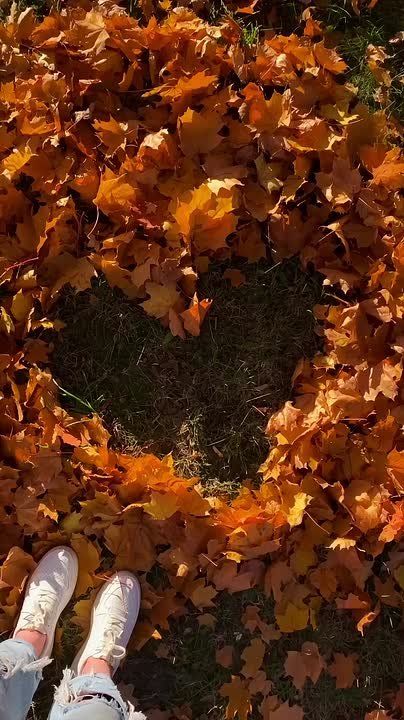 Доброго всем дня. Если ты собираешься всю жизнь только наблюдать, тогда ты увидишь, как вся твоя жизнь прошла без тебя