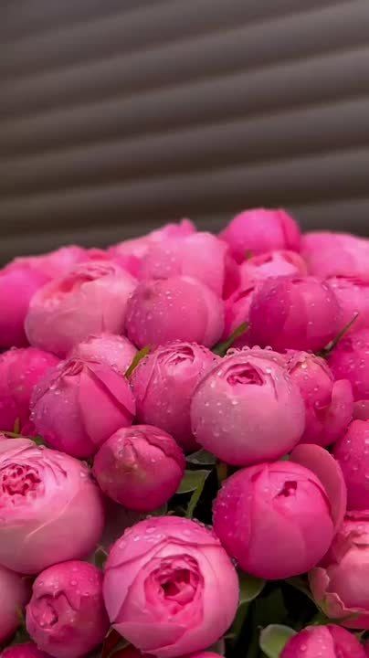 Доброе утро. Последние тёплые дни похожи на маленький подарок — открой его с улыбкой и используй на полную