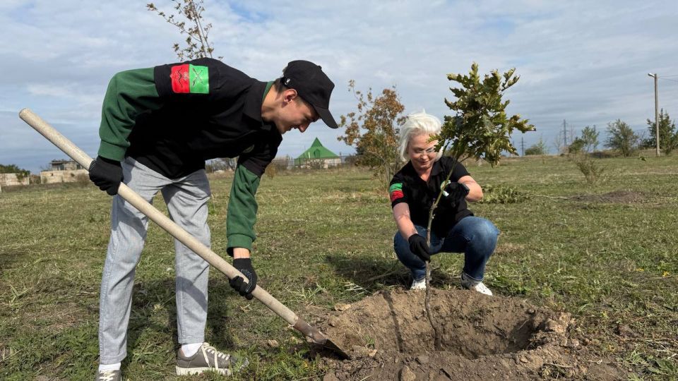 Сотрудники ТФОМС Запорожской области приняли участие в создании аллеи в преддверии Дня воссоединения с Россией