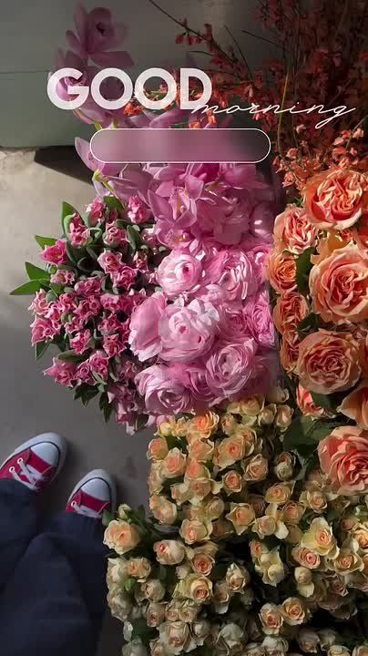 Доброго дня и прекрасного настроения НОВЫЙ МЕЛИТОПОЛЬ