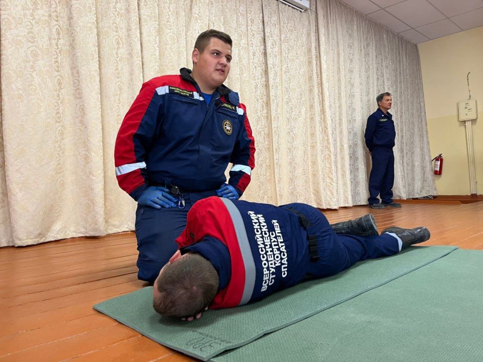 В школах Бердянска и Мелитополя прошли мастер-классы ко Дню воссоединения