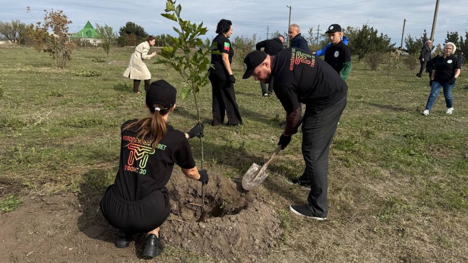 ���������� ����� ����������� ������� ������� ������� � �������� ����� � ���������� ��� ������������� � �������