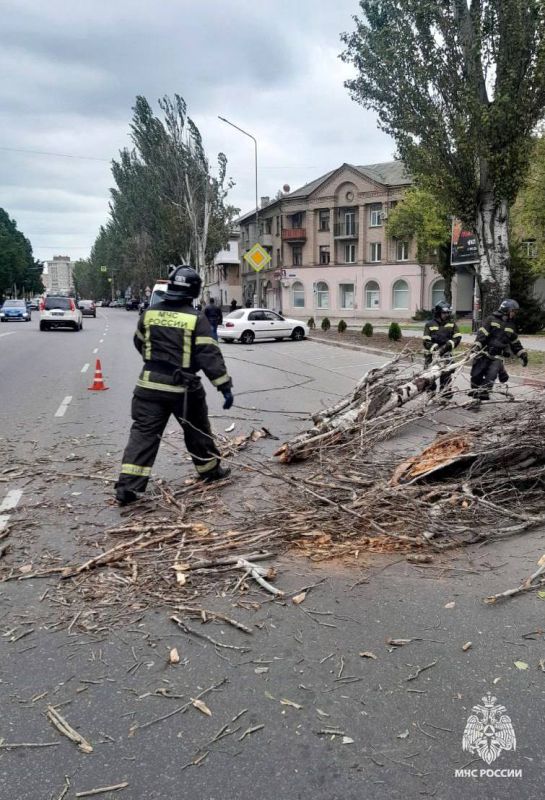 � ���������� ������ ����� �� ��������