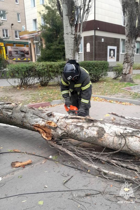 ��� ������ ����� � ���������� ��-�� ��������