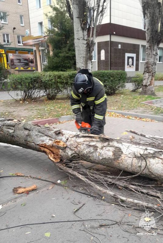 � ���������� ������ ����� �� ��������