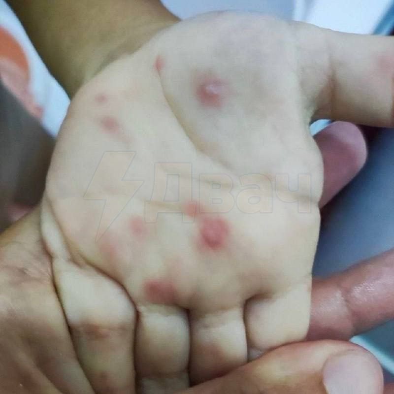 ������� ������� ������� ���������� ���� �� ���� ������: ������� �������� �� ������� �����