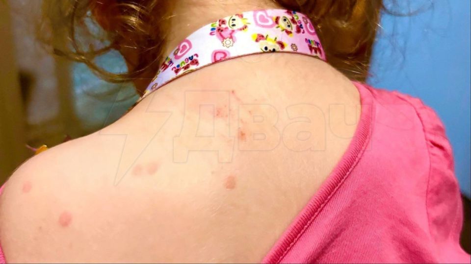 ������� ������� ������� ���������� ���� �� ���� ������: ������� �������� �� ������� �����