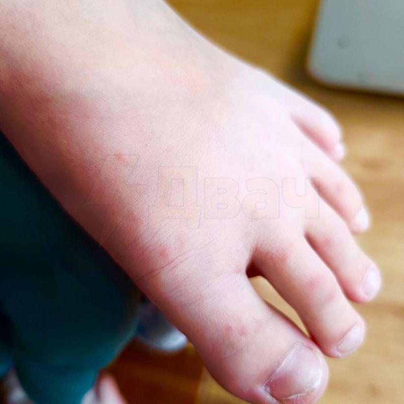 ������� ������� ������� ���������� ���� �� ���� ������: ������� �������� �� ������� �����