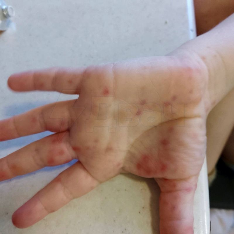 ������� ������� ������� ���������� ���� �� ���� ������: ������� �������� �� ������� �����