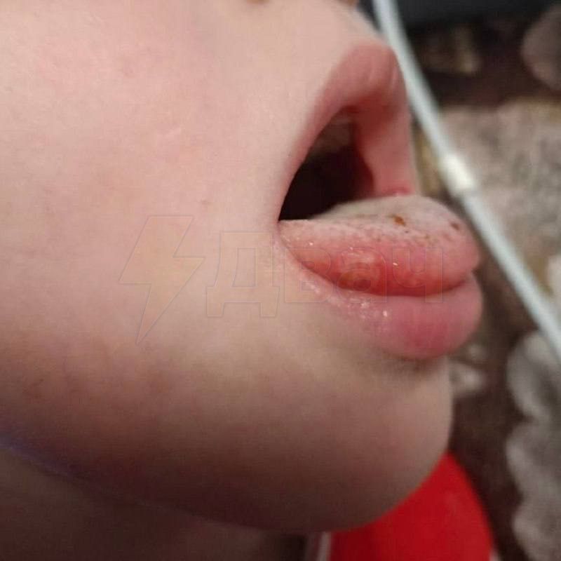 ������� ������� ������� ���������� ���� �� ���� ������: ������� �������� �� ������� �����