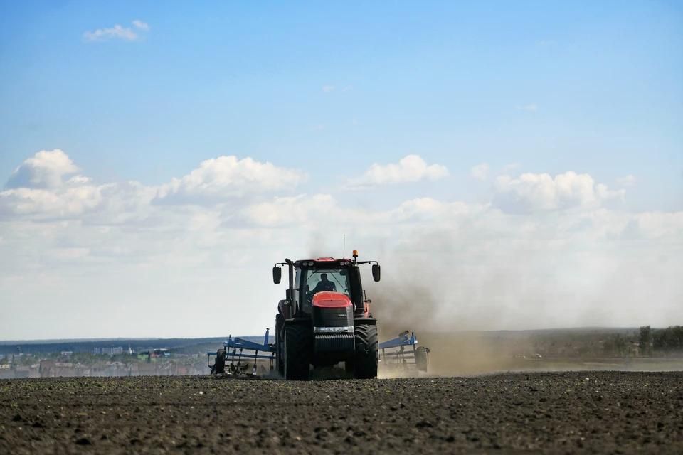 В Мелитополе общий план озимого сева составляет порядка 15 тысяч га